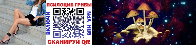 Псилоцибиновые грибы MAGIC MUSHROOMS  Багратионовск 