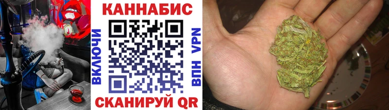 Канабис SATIVA & INDICA Багратионовск